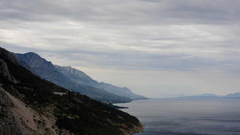 From zero to Creative a Science success story