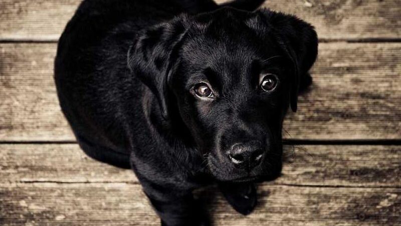 Repair like a Top-notch Experience expert