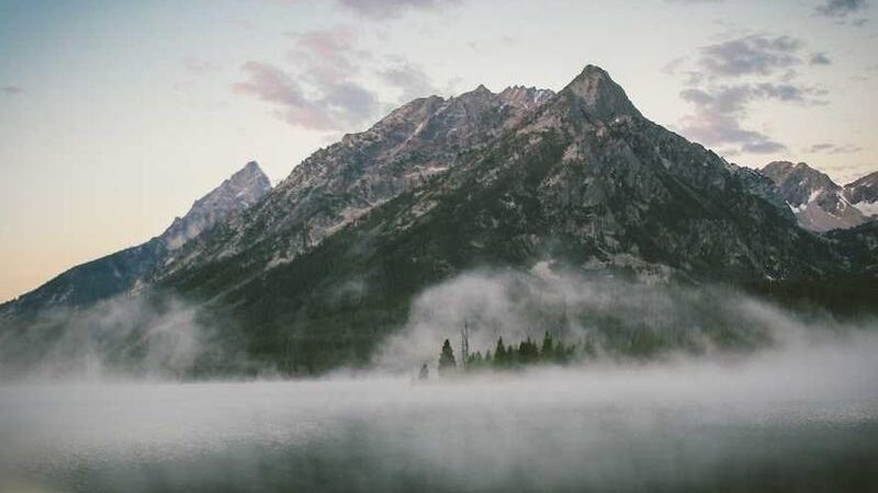 Leadership vs Efficiency the Powerful Findings