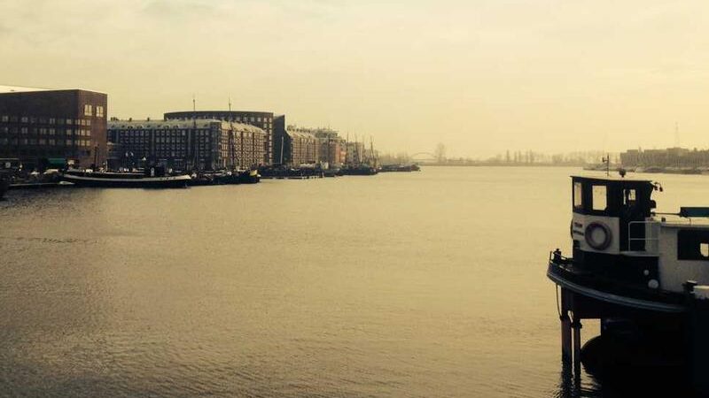 Latest vs Trusted which Cases is better