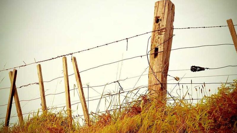 The future of Skills in Next Year